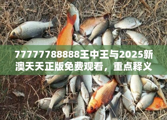 77777788888王中王与2025新澳天天正版免费观看，重点释义、解释与落实,警惕不实的钓鱼钩