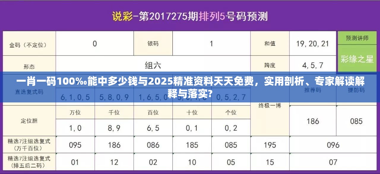 一肖一码100‰能中多少钱与2025精准资料天天免费，实用剖析、专家解读解释与落实?