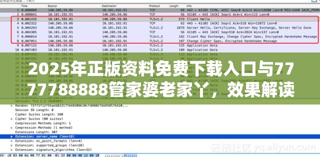 2025年正版资料免费下载入口与7777788888管家婆老家丫，效果解读、专家解析解释与落实