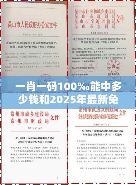 一肖一码100‰能中多少钱和2025年最新免费资料下载，典型释义、专家解析解释与落实?小心误导宣传风险